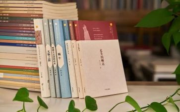 执法年工作总结暨工作计划6篇
