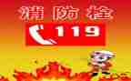 119消防安全活动方案最新5篇
