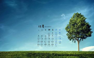 12月份演讲稿6篇