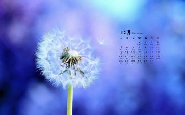 12月物业工作总结5篇