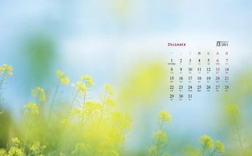 幼儿园12月的工作计划6篇