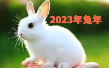 2023年社区宣传活动工作计划5篇