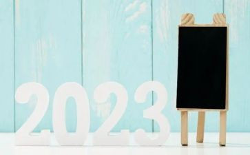 2023动员令心得体会5篇