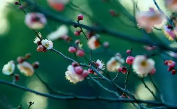 销售2月份工作总结7篇