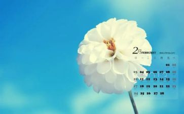 大班2月总结8篇