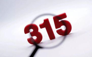 315公司活动策划模板7篇