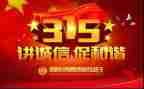 315公司活动策划5篇