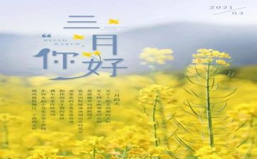 3月安全总结精选8篇