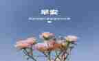 20243月大学生思想汇报8篇