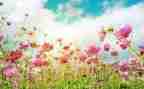 3月安全生产工作总结7篇