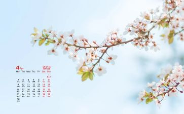 4月的工作总结8篇