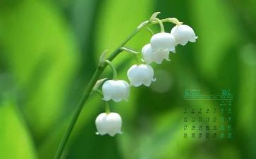 4月教师总结7篇