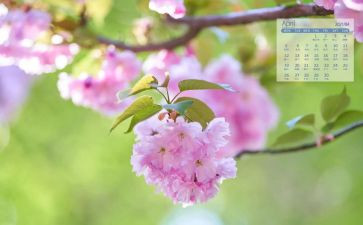 小小班4月份工作总结6篇