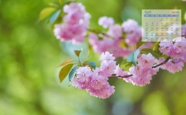4月的工作总结精选8篇