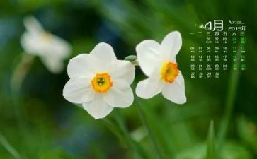 4月的工作总结优质5篇