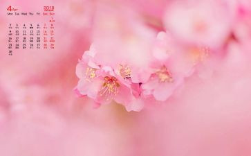 班级4月工作计划5篇