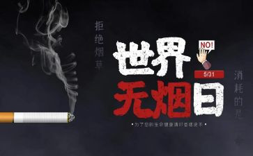 531工作总结优秀7篇