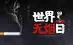 531工作总结优秀7篇