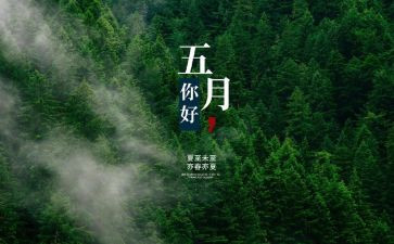 5月周工作计划参考7篇