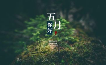 幼儿园5月计划工作总结6篇