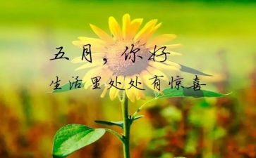 5月份的工作计划7篇