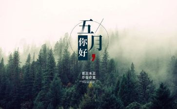 5月工作计划6篇