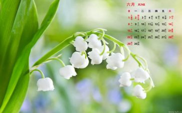 大班6月份工作总结7篇