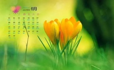 公司6月份工作总结7篇
