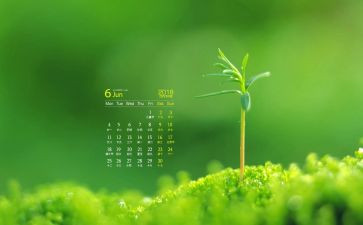 幼儿教师6月份工作总结8篇
