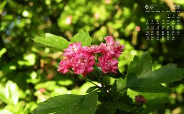 6月与工作计划7篇
