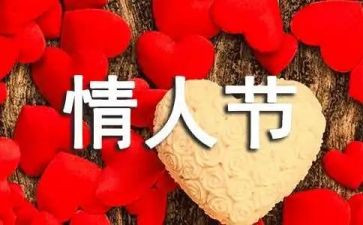 7夕活动策划方案模板精选6篇