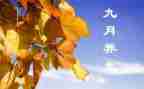 大班9月工作总结5篇