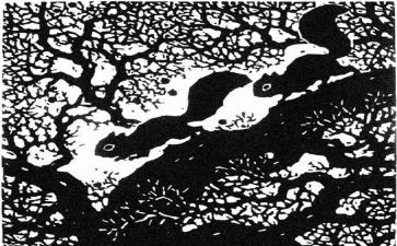 小学版画教案7篇