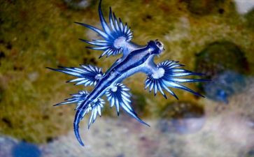 中学生物实验工作总结7篇