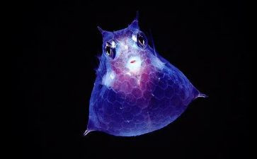 高二生物工作计划7篇