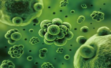 生物教师的个人述职报告8篇