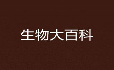 高二生物老师工作计划6篇