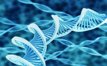 生物教师听课心得体会5篇