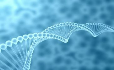 生物教师教学月工作总结优质5篇