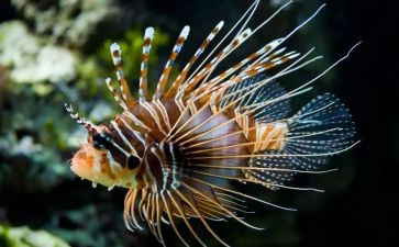 生物备课组长工作计划6篇