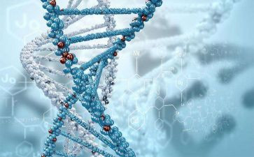 生物大实验后心得体会8篇