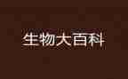 高二生物老师工作计划6篇