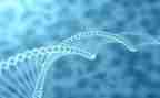生物教师教学月工作总结优质5篇