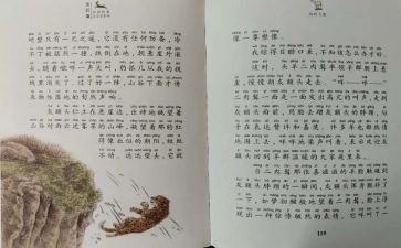 斑羚飞渡心得体会7篇