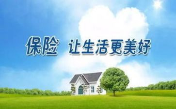 学保险的心得体会模板5篇