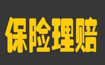 保险公司领导述职报告8篇