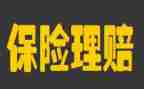进保险公司心得体会最新7篇