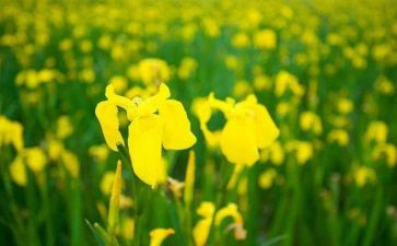 有关把握的作文7篇