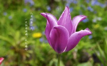 八月份工作计划6篇