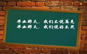 毕设调研报告模板5篇